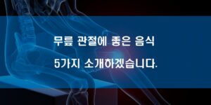 무릎 관절에 좋은 음식