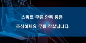 스쿼트 무릎 안쪽 통증